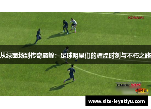 从绿茵场到传奇巅峰：足球明星们的辉煌时刻与不朽之路