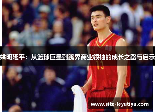 姚明延平：从篮球巨星到跨界商业领袖的成长之路与启示