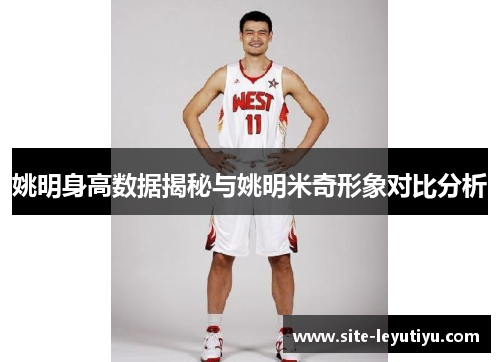 姚明身高数据揭秘与姚明米奇形象对比分析