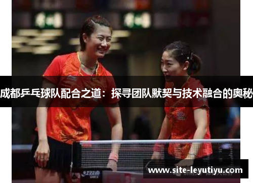 成都乒乓球队配合之道：探寻团队默契与技术融合的奥秘