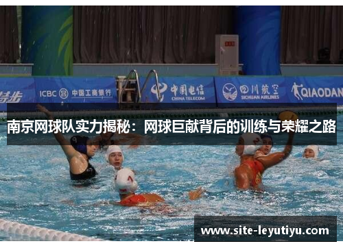 南京网球队实力揭秘：网球巨献背后的训练与荣耀之路