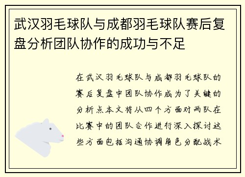 武汉羽毛球队与成都羽毛球队赛后复盘分析团队协作的成功与不足