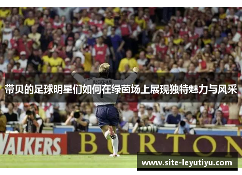 带贝的足球明星们如何在绿茵场上展现独特魅力与风采
