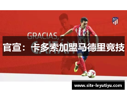官宣：卡多索加盟马德里竞技